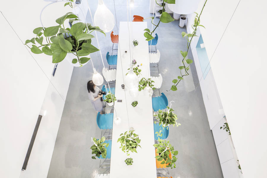 用绿色植物点缀的办公室设计