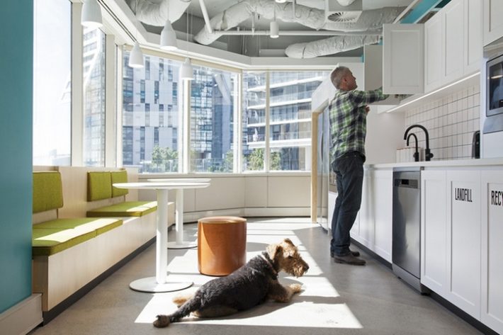 极赋乐趣的宠物管理所办公室设计